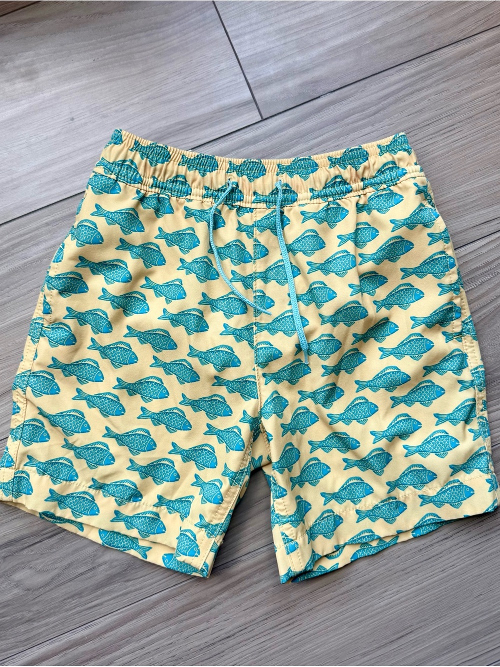 Crewcuts Boys Swim Trunks